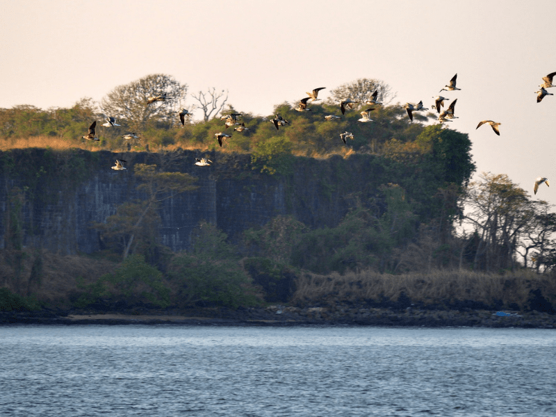 suvarnadurg fort