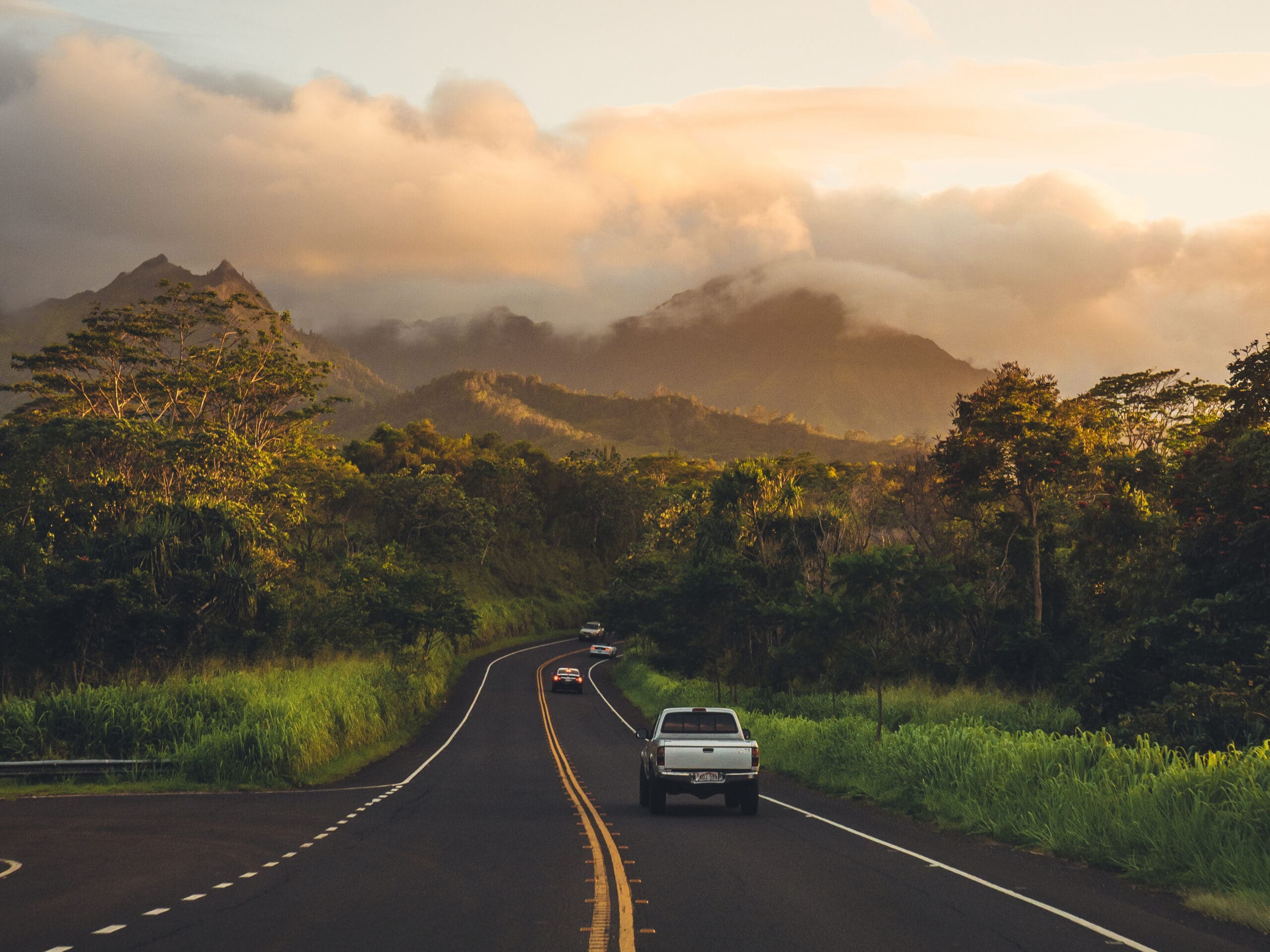Vertical shot of the beautiful countryside road greenery and forests viewed from a vehicle